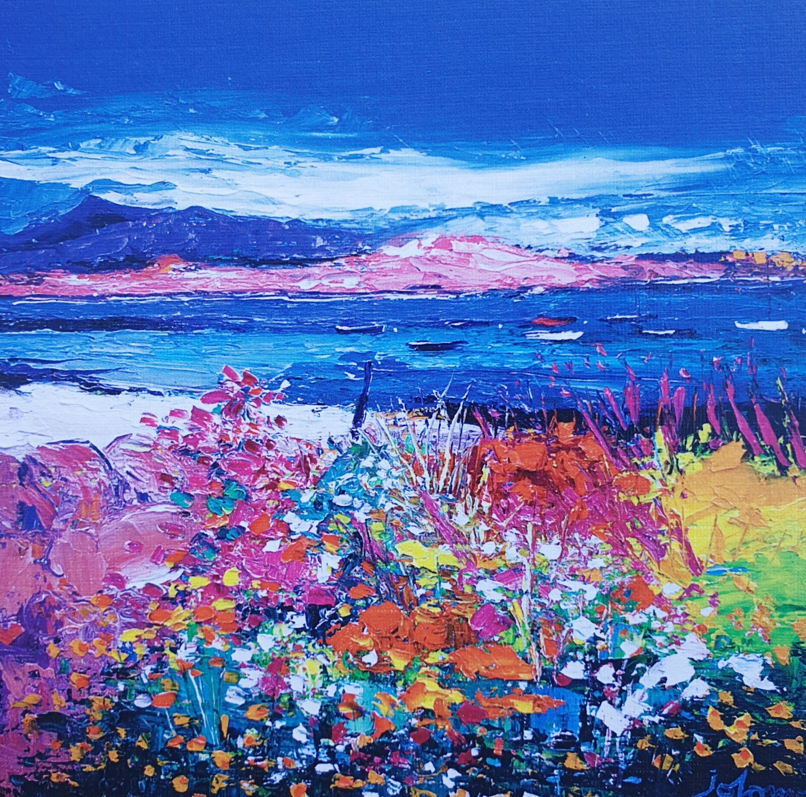 Jolomo Framed print (Large) Front Gardens and the Moorings Iona eBay