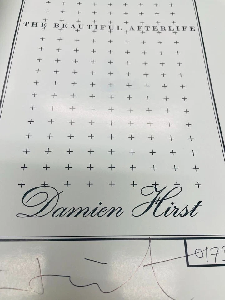 Damien Hirst "THE BEAUTIFUL AFTERLIFE" Publicado en 1997 Colección de Obras Foto 4 de 4