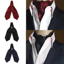 Men'  Handsome Cravat Ties Perfect Design Self-tied Ascot