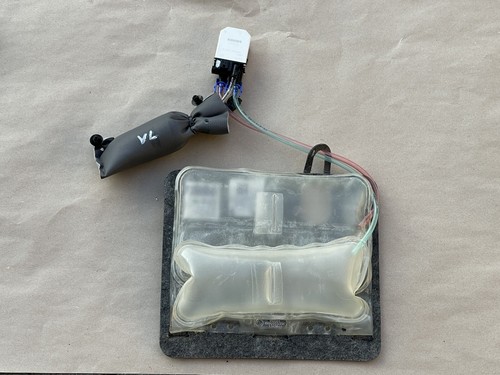 BMW 5er F10 F11 Lordosenkissen mit Pumpe Vorne Links Fahrersitz 7313641 Original