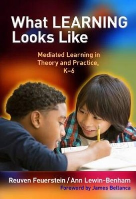 What Learning Looks Like: Mediated Learning in Theory and Practice, K-6 - GOOD