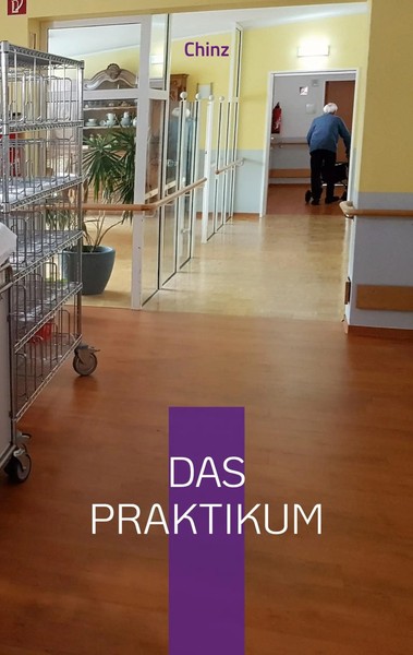Das Praktikum Chinz Taschenbuch 196 S. Deutsch 2022 BoD - Books on Demand-image