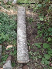 Cherry Tree Trunk, Not Wild Cherry, Prunus Kanzan, Part Seasoned, 150cm x 26cm