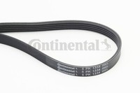 Continental Ctam 5PK1334 Keilrippenriemen FüR Chevrolet, Opel, Vauxhall