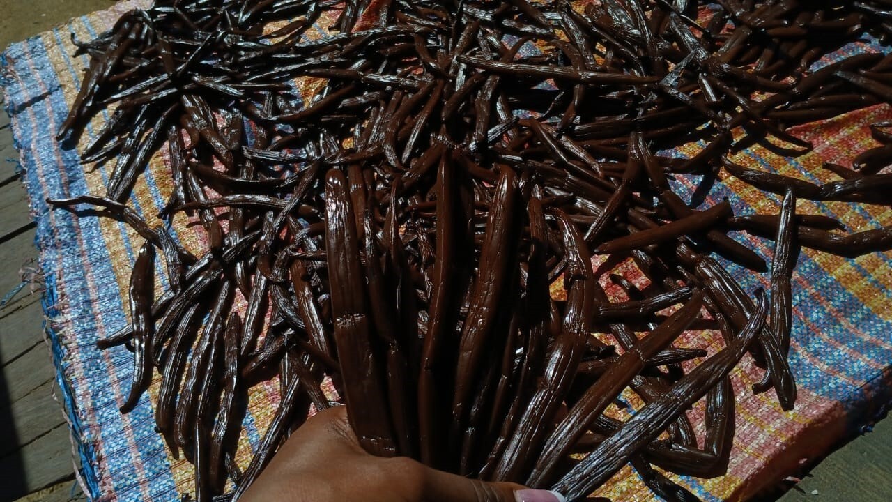 60 Gr de Vanille en poudre 100% Gousses De Vanille Entière Bourbon De Madagascar 4
