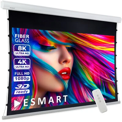 ESMART Expert XTR Tension Leinwand AKUSTIK 294 x 166 cm (133") 16:9