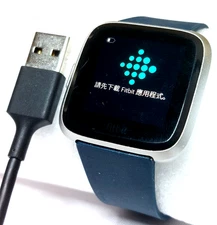 Fitbit Versa Lite FB415 Fitness Smartwatch Activity Tracker Silver Blue - Tested