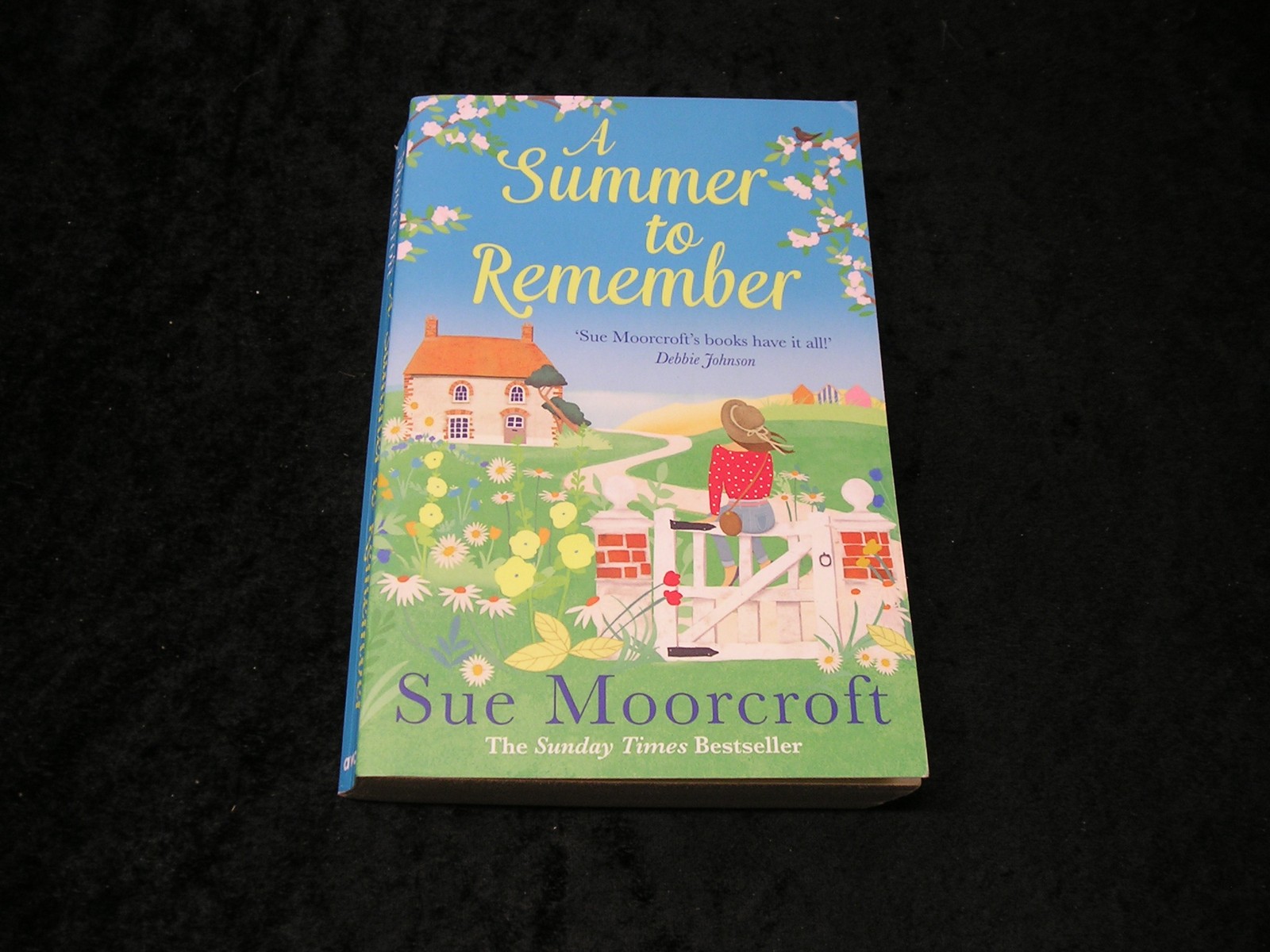 A Summer to Remember