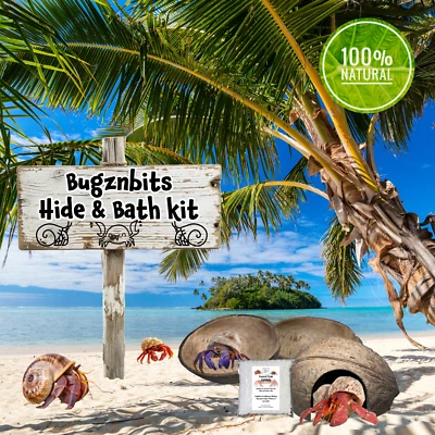 Bugznbits Hermit Crab Hide & Bath Kit, 100% Natural Organic Set Salt-Fresh Water