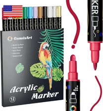 12 Colors Acrylic Paint Pens, Acrylic Paint Markers Dual Tip, with Dot Tip and F