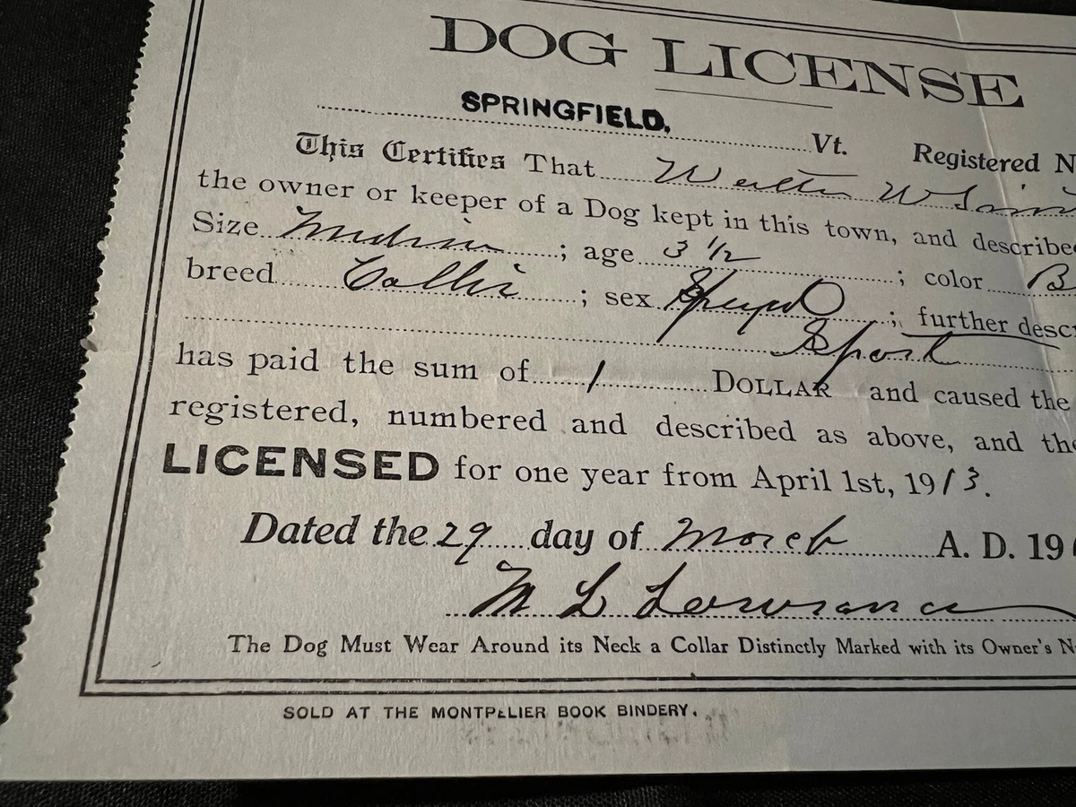 How Much Is A Dog Licence Uk