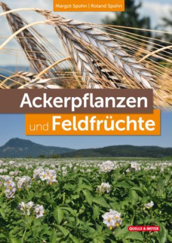 Thumbnail - Ackerpflanzen Und Feldfrüchte 6653