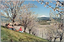 Vintage UNION PACIFIC RAILROAD Postcard "MOUNT ADAMS, WASHINGTON" Spring Scene