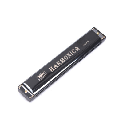 24 Hole Key Of C Play Harmonica Tremolo Harmonica Mouth Organ Double Row Blues,