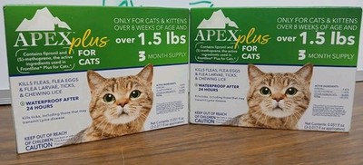 Beautiful view of Flea Control For Cat Houses