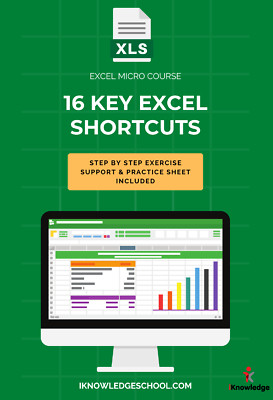   Microsoft Excel Micro Course   Master 16 Essential Shortcuts (Digital)