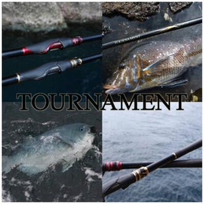 Daiwa TOURNAMENT ISO AGS 1.5-50 R Iso Spinning rod 5 pieces From