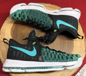 kd 9 birds of paradise