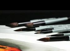 Finest Raccoon Round Artists' Brush, Proffesional brushes set ROSA OASIS