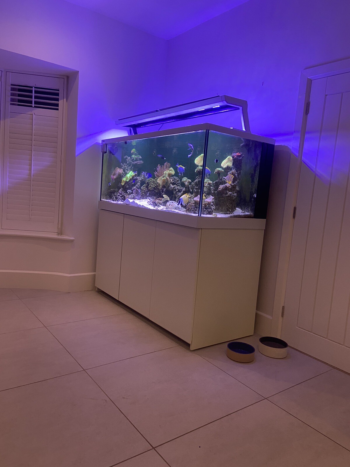 marine aquarium set up eBay