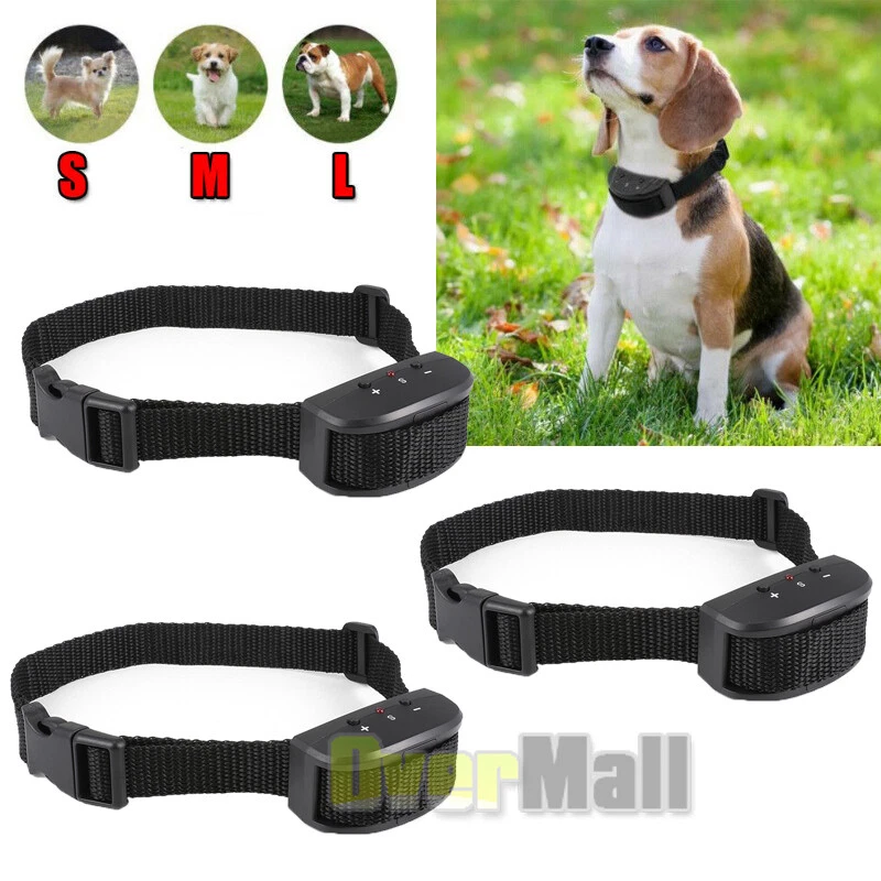 Shock collar top beeping noise