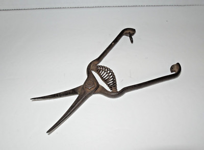 Grape Shears Approx. 7-1/2'' Vintage Corona Clipper 1940s - 1060s