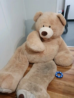 costco huge bear