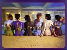 Pink Floyd the Wall - 8" x 10" Photo Print