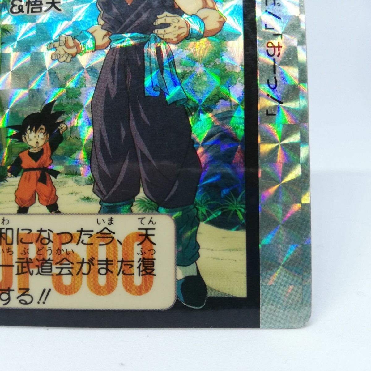 631 Son Gohan & Goten 1 PRISM Doragon Ball Z Card DASS BANDAI