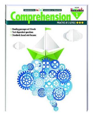 Reading Comprehension Meaningful Mini-Lessons  Practice Grade 1 (M - ACCEPTABLE