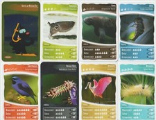 # 8 różnych kart kolekcjonerskich "Netto Oceania 10" (4) {K 041}