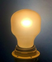 GlüHlampe Flame E27 T55 230V 25W Sanftes Terracotta Licht GlüHbirne