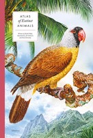 Atlas Of Extinct Animals | Radek Maly | Englisch | Buch | Gebunden | 2022