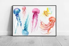 Colourful Illustrated Jellyfish Gracefully Swimming Around Watercolour Sea Life