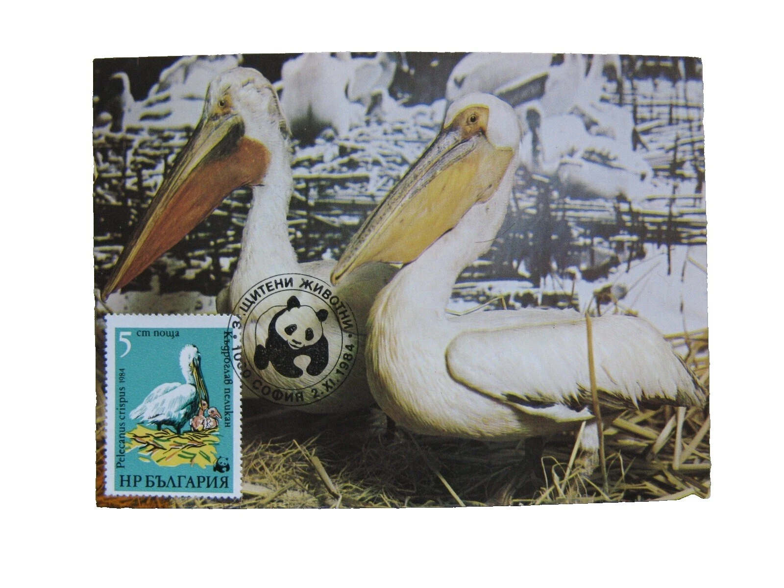 World Wildlife Fund (WWF) sobre de Primer Día estampillas búlgaras