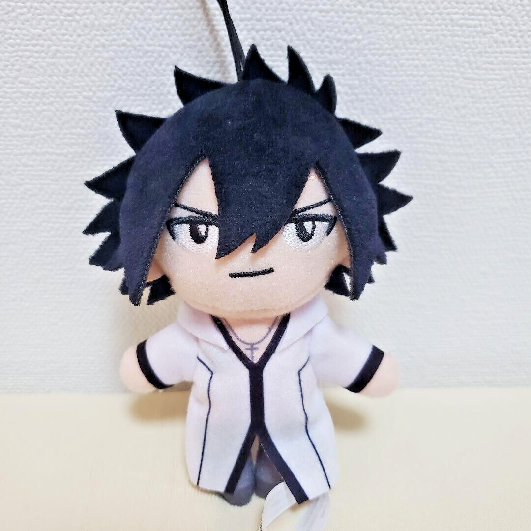 FAIRY TAIL Pikonui Plush Toy Doll Mascot 10cm Juvia Glay set of 2