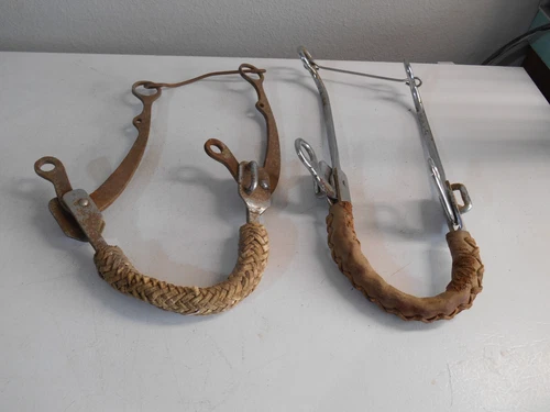 Long Shank Hackamores with Leather Covered Noseband