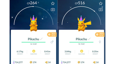  Shiny (Schillernd) Pikachu Purple Party Hat Pokemon GO  Registered Only