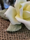 Foto 5 di 24