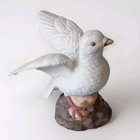 Foto 11 di 12