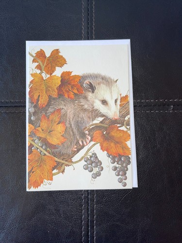 Vintage Current Greeting Cards Lot Of 8 w/Envelopes American Wildlife Possum Fox - Picture 4 of 11