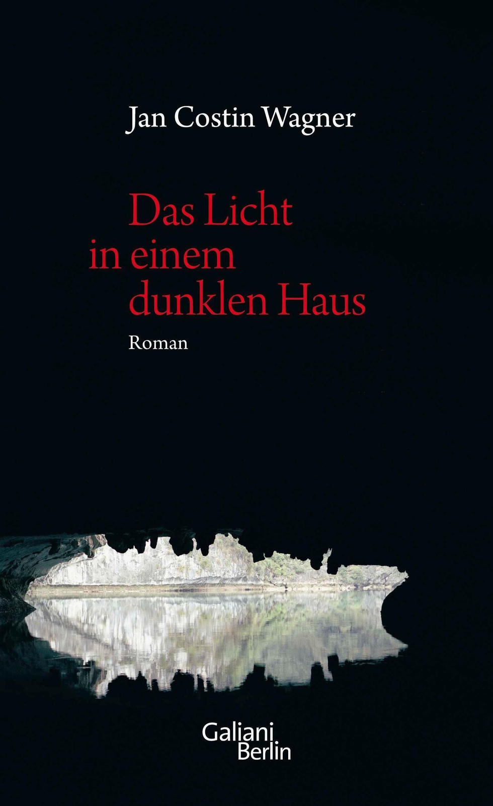 Thumbnail - Das Licht In Einem Dunklen Haus Jan Costin Wagner Buch Ein