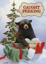 Caught Peeking Bear Keith Dabb LPG Greetings Christmas Card