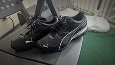 Puma Tazon 6 FM Herren Sneaker Schuhe Laufschuhe 189873 03 schwarz