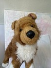 Douglas Cuddle Toys Sheba Collie 16" Realistic #2017 — photo 5