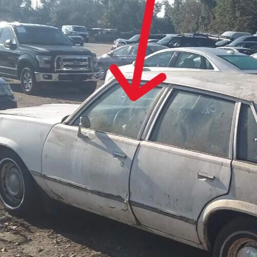 Malibú, Regal, Cutlass, etc. 4 puertas: 1978, 1979-1987, puerta delantera izquierda cristal Foto 4 de 4