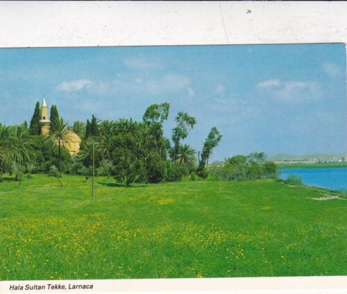 Hala Sultan Tekke Larnaca Zypern Postkarte unbenutzt Sehr guter Zustand  - Bild 1 von 2