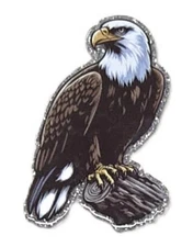 5 Pc - Bald Eagle - Acrylic Flatback Charms - For Badge Reels - DIY Crafts