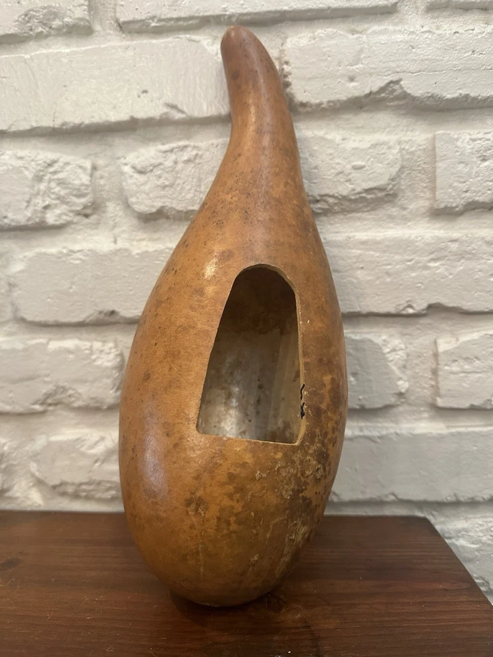 güiro, Cuba, instrumento de percusión tradicional latinoamericano Foto 4 de 4