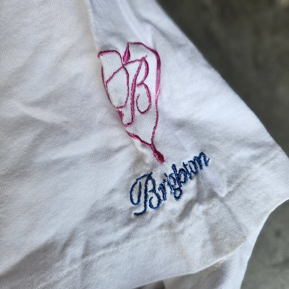 Camiseta Brighton Vintage Puntada Única Talla L Foto 3 de 4